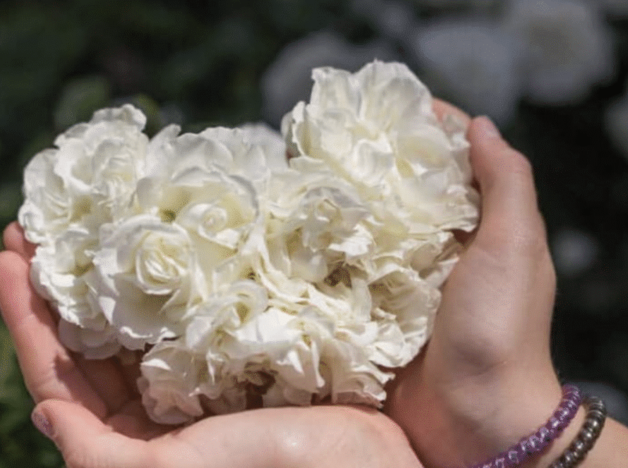 pompes funebres louis uccle inhumation Rapatriement Funérarium